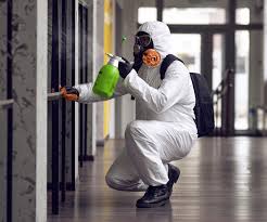 Best Emergency Mold Remediation  in Exander City, AL