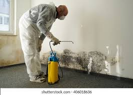 Mold Documentation for Insurance Claims in Alexander City, AL